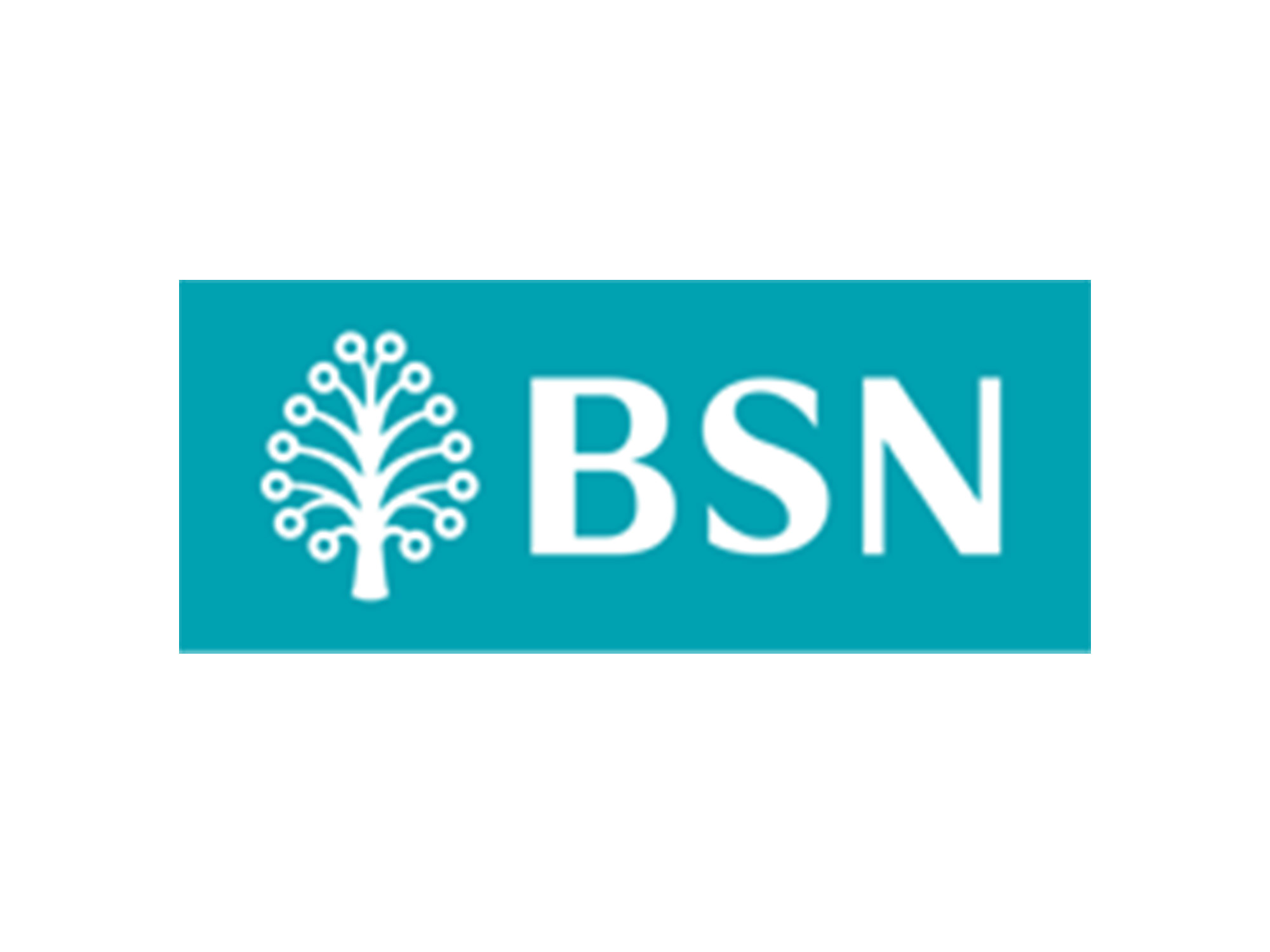 Simpanan nasional bank BSN Branches