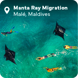 The picture can't be displayed