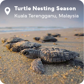 The picture can't be displayed