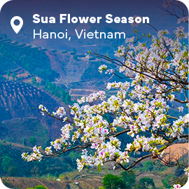 The picture can't be displayed