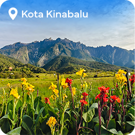 The picture can't be displayed