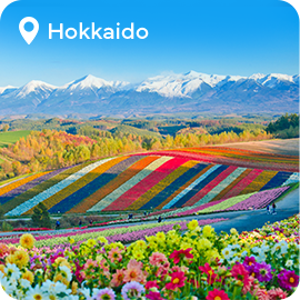 The picture can't be displayed